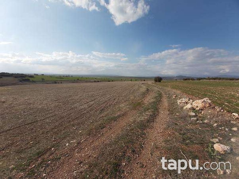 Afyonkarahisar Dinar Gençeli'de 23 Dönüm Tarla