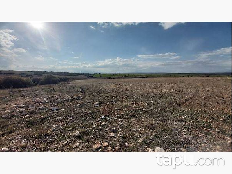 Afyonkarahisar Dinar Gençeli'de 23 Dönüm Tarla