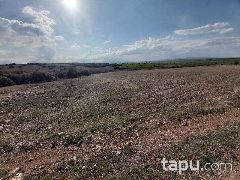 Afyonkarahisar Dinar Gençeli'de 23 Dönüm Tarla