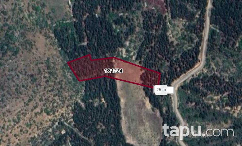 Bilecik Merkez Küplü'de 6 Dönüm Tarla