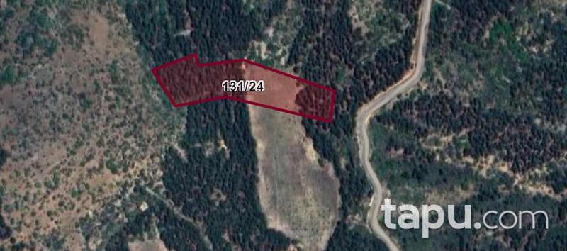 Bilecik Merkez Küplü'de 6 Dönüm Tarla