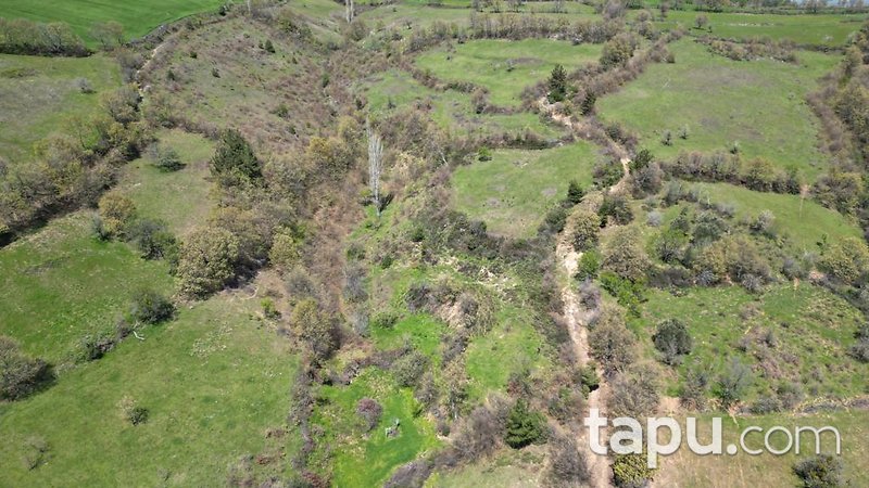 Eskişehir Alpu'da Yatırımlık 7922 m2 Tarla Fırsatı
