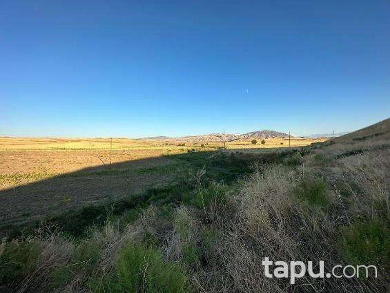 Malatya Arguvan Morhamam Köyü'nde Hisseli 521 m2 Tarla