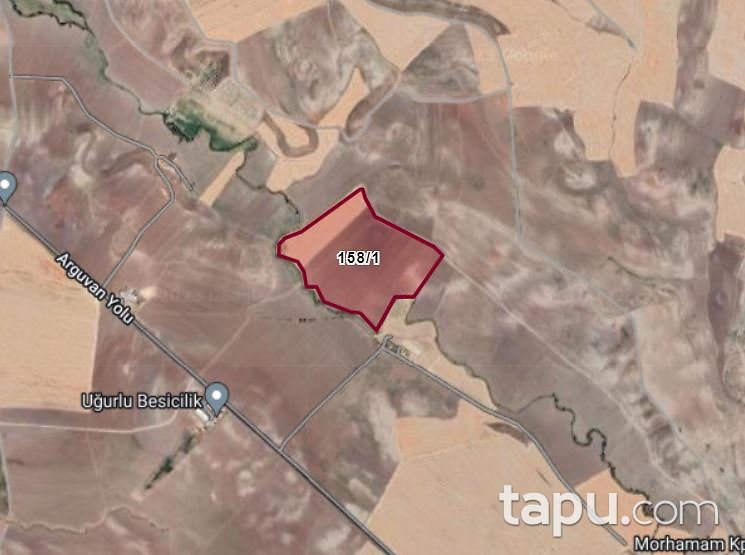 Malatya Arguvan Morhamam Köyü'nde Hisseli 521 m2 Tarla