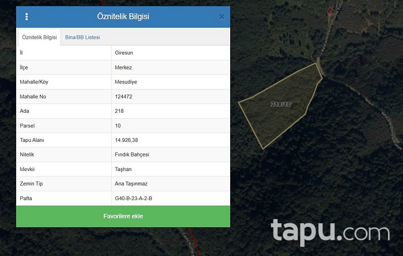 Giresun Mesudiye'de 14.926 m2 Fındık Bahçesi
