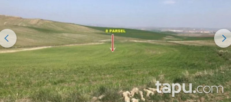 Çorum Sungurlu Derekışla Köyü'nde 16.900 m2 Tarla