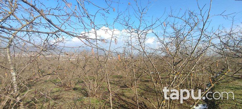 Düzce Gümüşova'da 3 Kat Konut İmarlı Arsa (AS-02672)