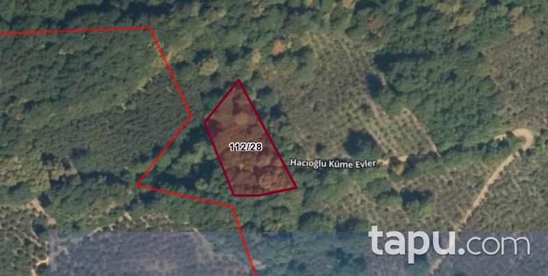 Düzce Gölyaka Bekiroğlu'da 1.787 m2 Fındık Bahçesi