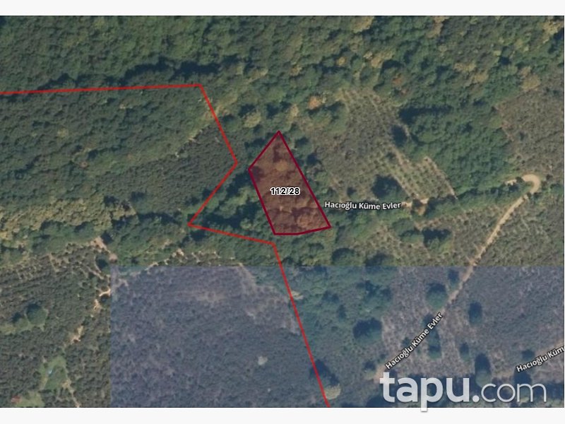 Düzce Gölyaka Bekiroğlu'da 1.787 m2 Fındık Bahçesi