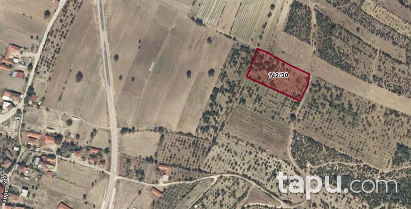 Manisa Demirci Alaağaç'ta 5.648 m2 Bademlik