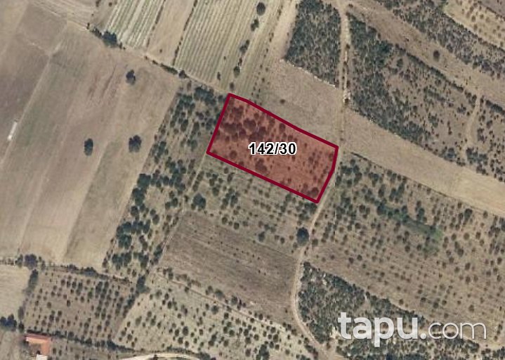Manisa Demirci Alaağaç'ta 5.648 m2 Bademlik
