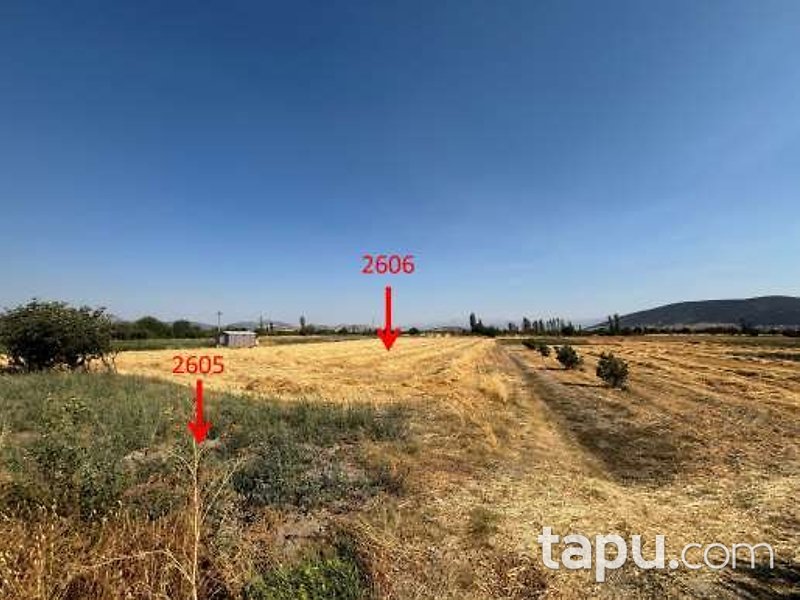 Isparta Merkez'de Şehir Merkezine Yakın Tarla ve Yol