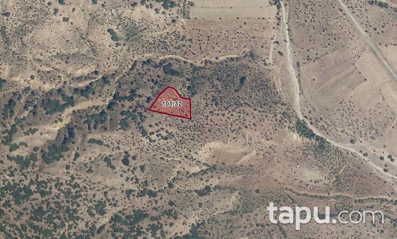 Çankırı Ilgaz Belören'de 1.815 m2 Hisseli Tarla