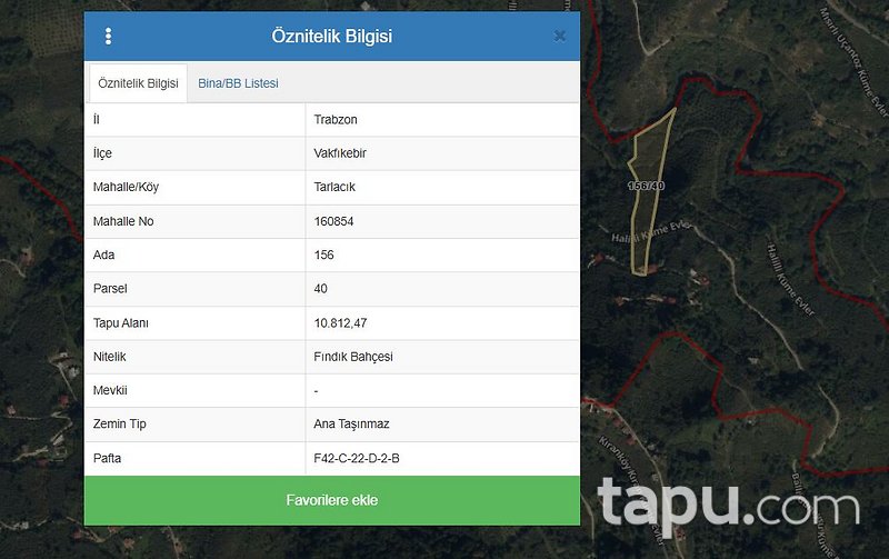 Trabzon Vakfıkebir Tarlacık'ta 11 Dönüm Fındık Bahçesi
