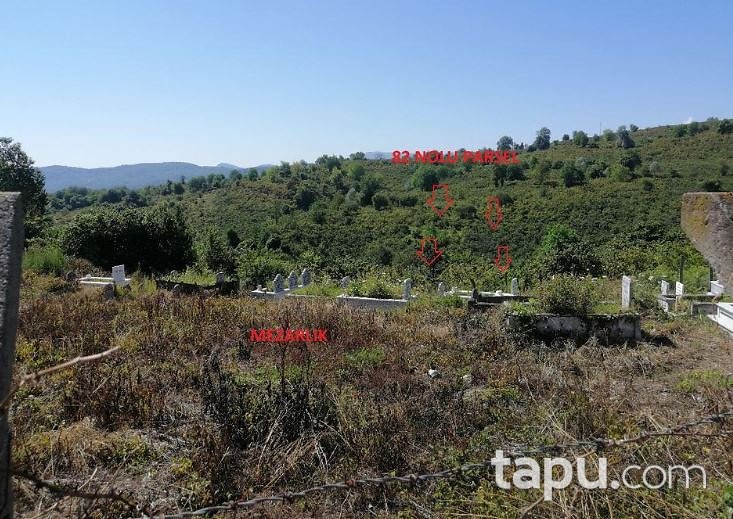 Ordu Ünye Yavi Mahallesi'nde Hisseli 3 Dönüm Tarla