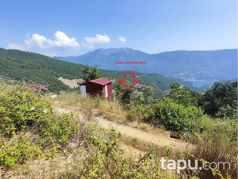 Alanya Akçatı'da Hisseli 1.334 m2 Tarla