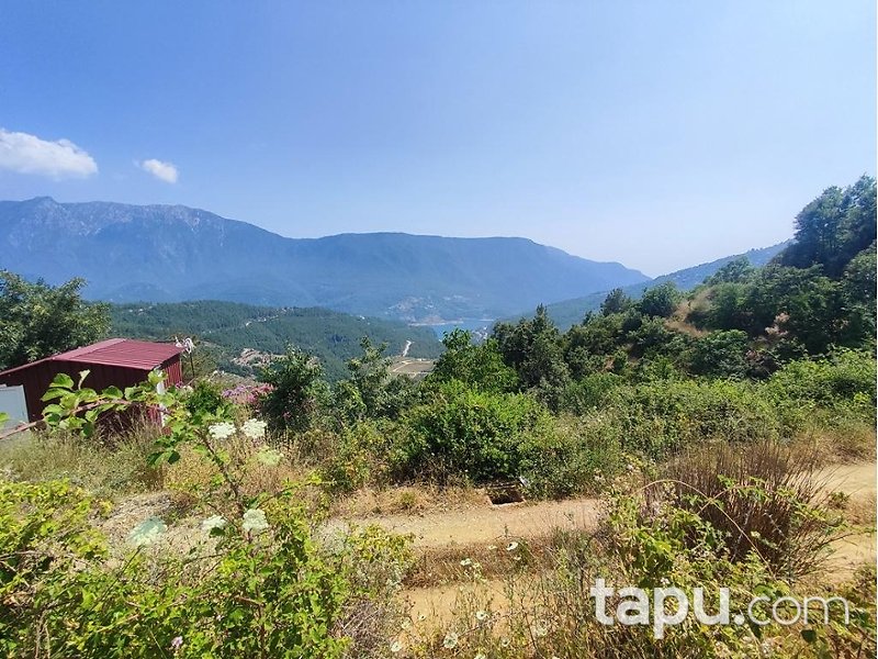 Alanya Akçatı'da Hisseli 1.334 m2 Tarla