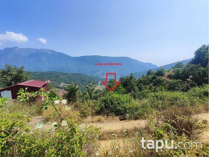 Alanya Akçatı'da Hisseli 1.334 m2 Tarla