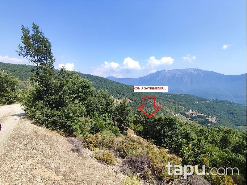 Alanya Akçatı'da Hisseli 1.334 m2 Tarla