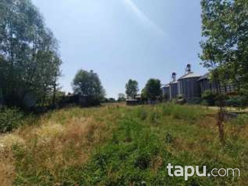 Sakarya Akyazı Osmanbey'de Hisseli 3 Dönüm Tarla