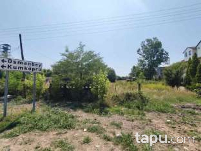 Sakarya Akyazı Osmanbey'de Hisseli 3 Dönüm Tarla