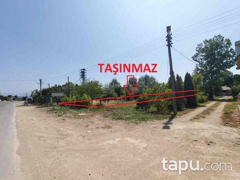 Sakarya Akyazı Osmanbey'de Hisseli 3 Dönüm Tarla