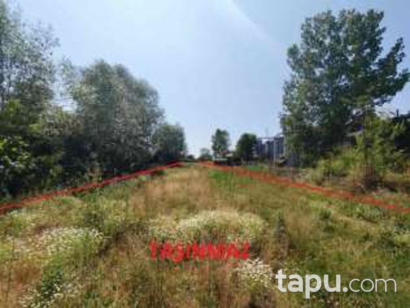 Sakarya Akyazı Osmanbey'de Hisseli 3 Dönüm Tarla