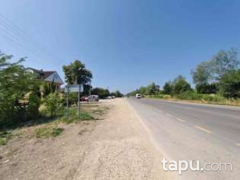 Sakarya Akyazı Osmanbey'de Hisseli 3 Dönüm Tarla