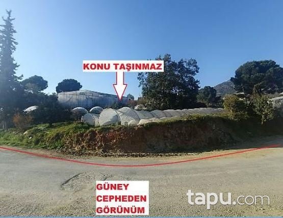 Mersin Anamur'da Kargir Ev Ve Muz Serası