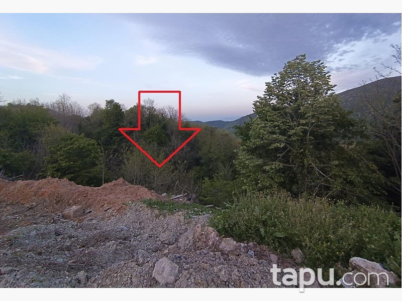 Sakarya Sapanca'da 8.694 m2 Fındık Bahçesi
