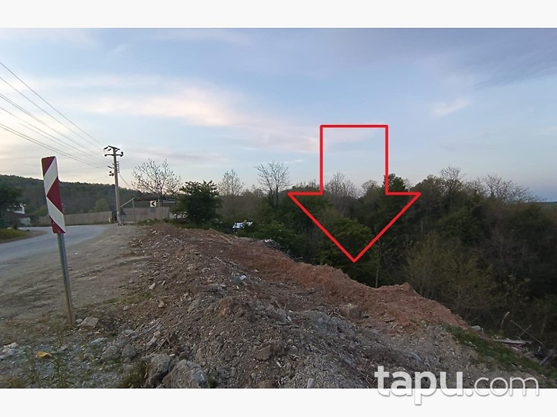 Sakarya Sapanca'da 8.694 m2 Fındık Bahçesi