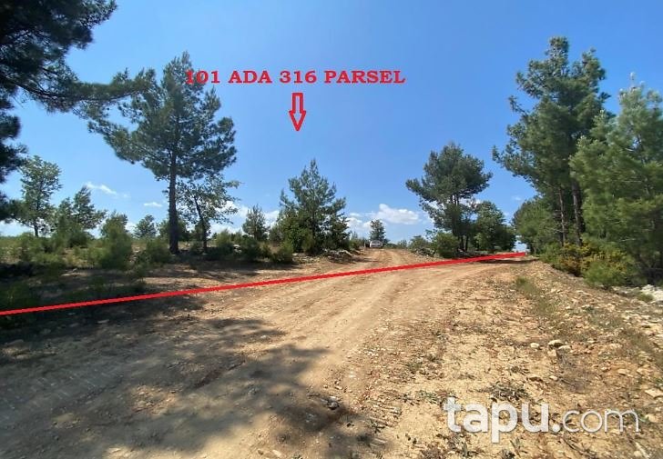 Mersin Gülnar Işıklı'da 14 Dönüm Tarla