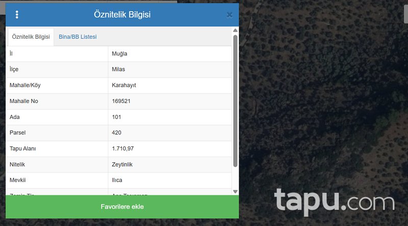 Muğla Milas Karahayıt'ta 1.710 m2 Zeytinlik
