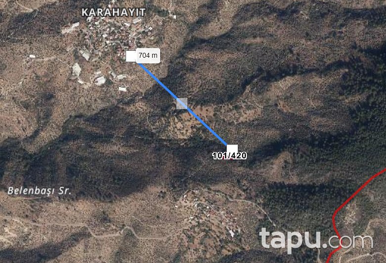 Muğla Milas Karahayıt'ta 1.710 m2 Zeytinlik