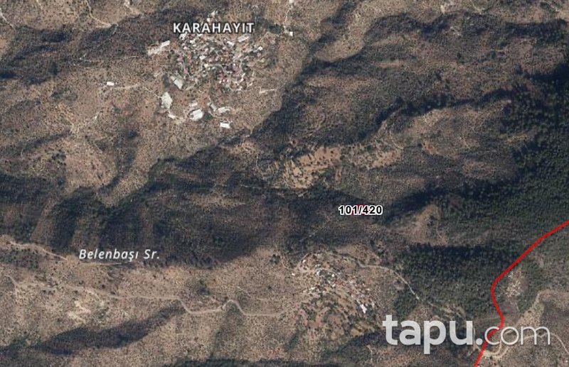 Muğla Milas Karahayıt'ta 1.710 m2 Zeytinlik