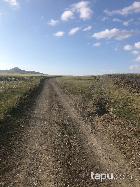 Sivas Altınyayla'da Köy Merkezine Yakın 78 Dönüm Tarla
