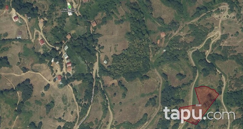 Samsun Alaçam Doğankent'te 6 Dönüm Tarla