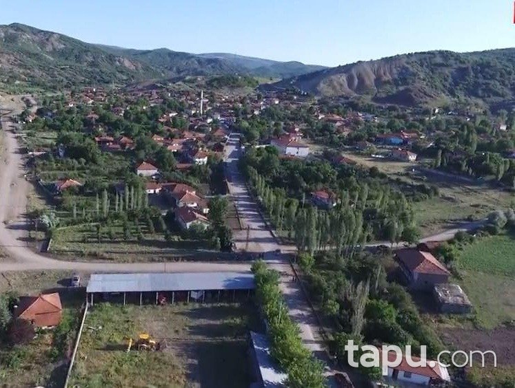 Çorum Alaca Evci'de 4.460 m2 Tarla