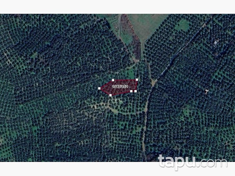 Gemlik Umurbey'de 1496 m2 Zeytinlik