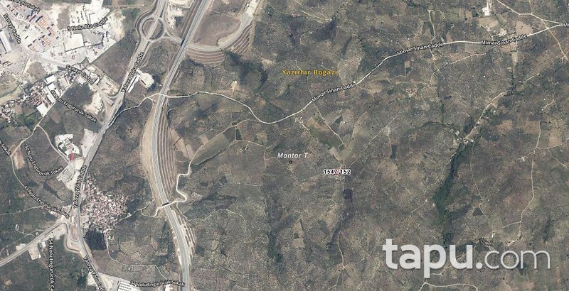 Gemlik Umurbey'de 1496 m2 Zeytinlik