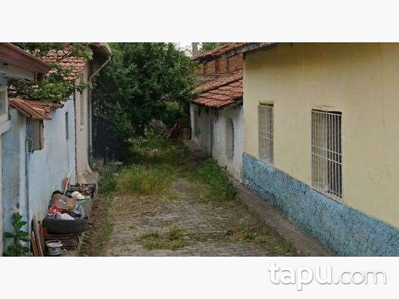 Amasya Merzifon'da Hisseli Arsa