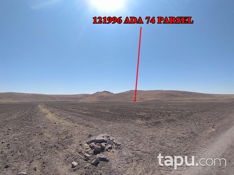 Ankara Gölbaşı Gölbek'te Yarı Hisseli 8 Dönüm Tarla