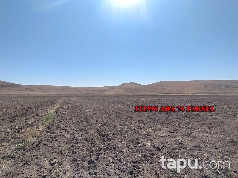 Ankara Gölbaşı Gölbek'te Yarı Hisseli 8 Dönüm Tarla