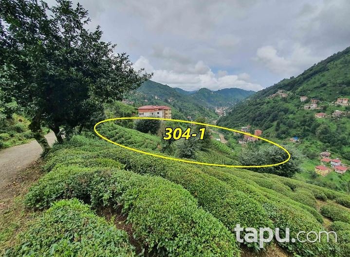 Rize Merkez Karasu'da 4 Dönüm Bahçe