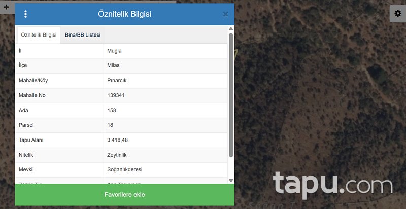 Muğla Milas Pınarcık'ta 3 Dönüm Zeytinlik