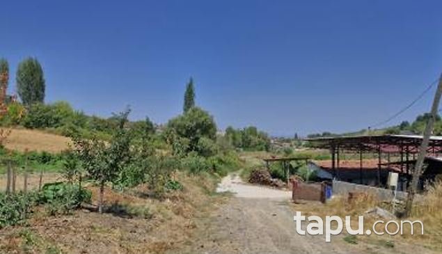 Yalova Merkez Safran Mahallesi'nde Hisseli 1002 m2 Tarla (AS-00889)