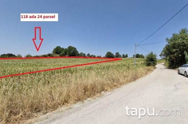 Yalova Merkez Safran Mahallesi'nde Hisseli 1.459 m2 Tarla (AS-00890)