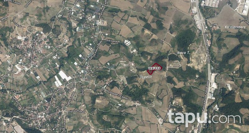 Yalova Merkez Safran Mahallesi'nde Hisseli 1.594 m2 Tarla (AS-00892)