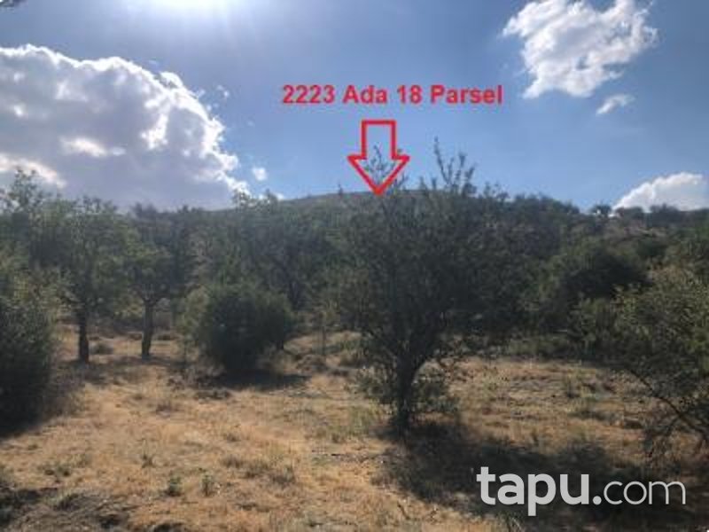 Ankara Akyurt Haydar'da 6 Adet Hisseli Arazi (AS-00927)