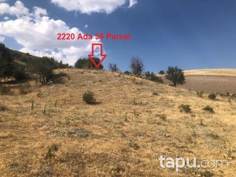 Ankara Akyurt Haydar'da 6 Adet Hisseli Arazi (AS-00927)